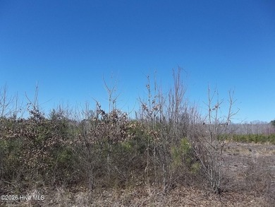 Beach Lot For Sale in New Hope, North Carolina