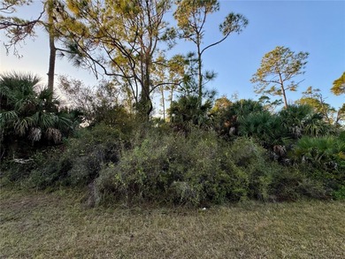 Beach Lot For Sale in North Port, Florida