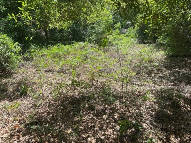 Beach Lot For Sale in Crystal River, Florida