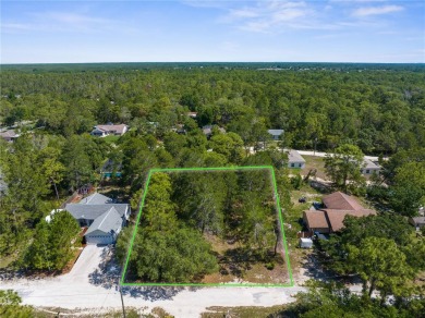 Beach Lot For Sale in Weeki Wachee, Florida