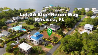 Beach Lot For Sale in Panacea, Florida