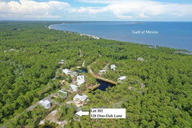 Beach Lot Sale Pending in Sopchoppy, Florida