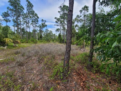 Beach Lot For Sale in Lehigh Acres, Florida