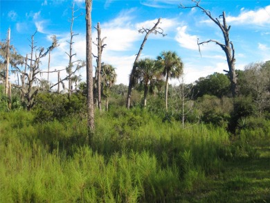 Beach Acreage For Sale in Crystal River, Florida