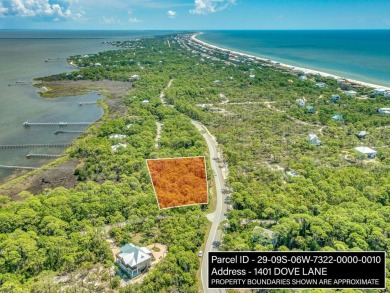 Beach Lot For Sale in St. George Island, Florida