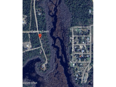 Beach Acreage For Sale in Wewahitchka, Florida