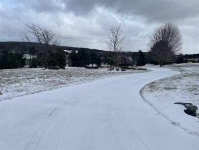 Beach Lot For Sale in Harbor Springs, Michigan