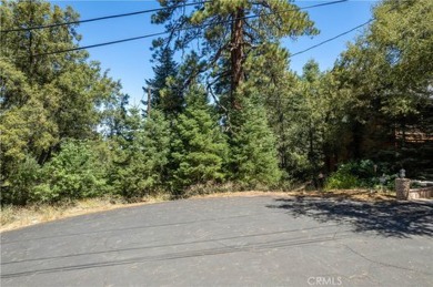 Beach Lot For Sale in Pine Mountain Club, California