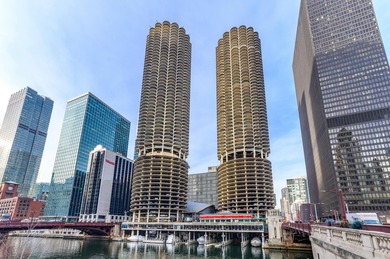 Beach Condo For Sale in Chicago, Illinois