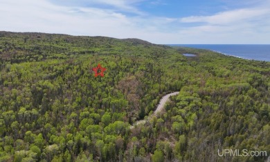Beach Acreage For Sale in Copper Harbor, Michigan