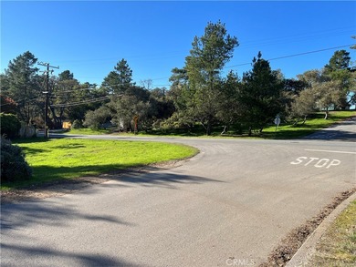 Beach Lot For Sale in Cambria, California