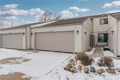 Beach Condo For Sale in Huron, Ohio