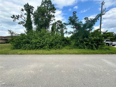 Beach Lot Sale Pending in Lehigh Acres, Florida