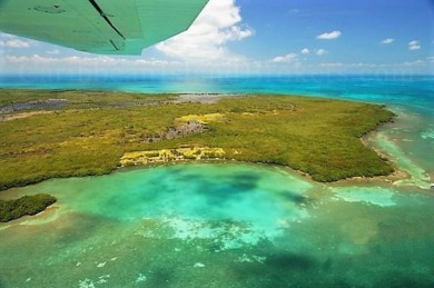 Beach Lot For Sale in Mullins River,
