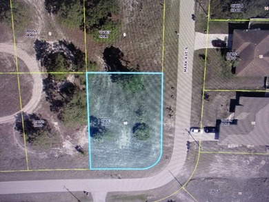 Beach Lot For Sale in Lehigh Acres, Florida