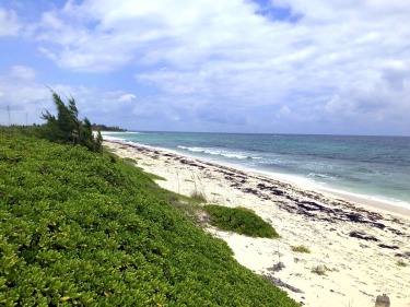 Beach Commercial Off Market in Abaco, Central Abaco, Bahamas