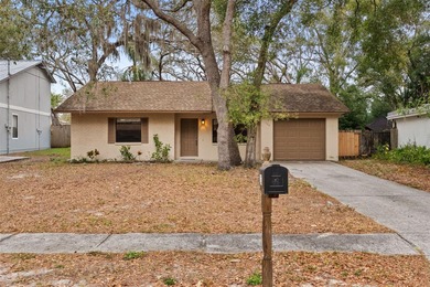 Beach Home For Sale in Tarpon Springs, Florida