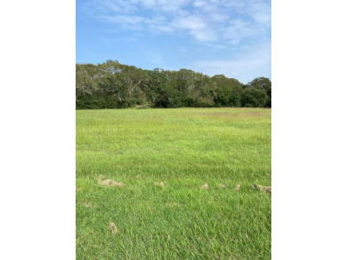 Beach Lot Off Market in Blessing, Texas