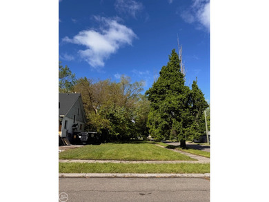 Beach Lot For Sale in Detroit, Michigan