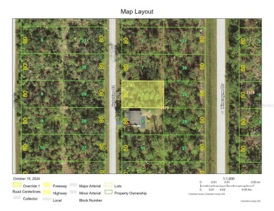 Beach Lot For Sale in Port Charlotte, Florida
