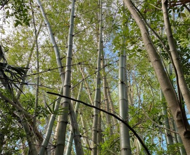 Beach Lot For Sale in Punta Gorda, Florida