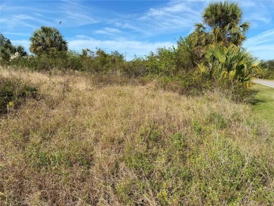 Beach Lot For Sale in Punta Gorda, Florida