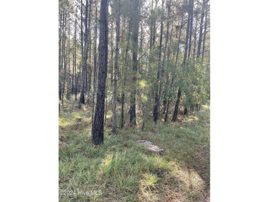 Beach Lot Active Under Contract in Supply, North Carolina