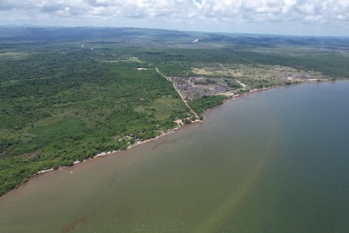 Beach Lot For Sale in Mullins River,