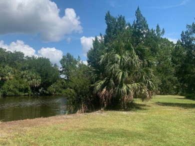 Beach Lot For Sale in Crawfordville, Florida