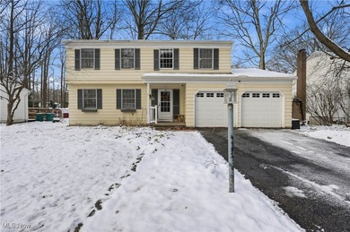 Beach Home For Sale in Mentor, Ohio