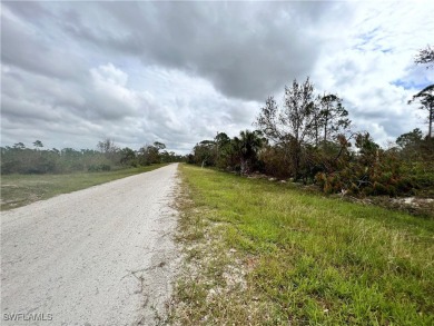 Beach Lot For Sale in Punta Gorda, Florida