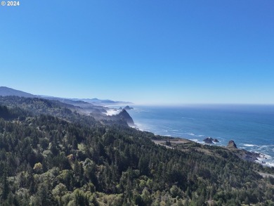 Beach Lot For Sale in Port Orford, Oregon