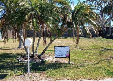 Beach Lot For Sale in New Port Richey, Florida
