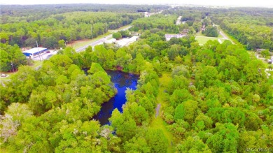 Beach Acreage For Sale in Homosassa, Florida