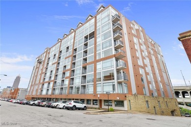 Beach Condo For Sale in Cleveland, Ohio