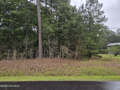 Beach Lot For Sale in Hertford, North Carolina