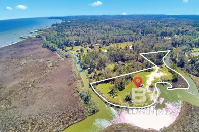 Beach Acreage For Sale in Theodore, Alabama