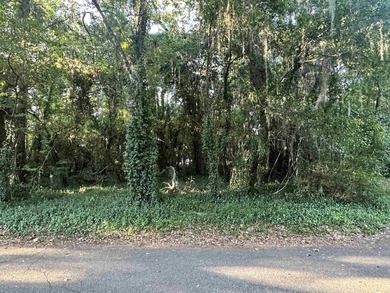 Beach Lot For Sale in Tallahassee, Florida