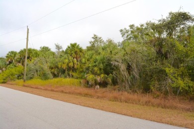 Beach Lot For Sale in North Port, Florida