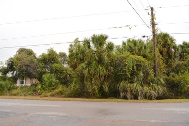 Beach Lot For Sale in North Port, Florida