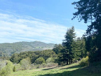 Beach Acreage Off Market in Carmel, California