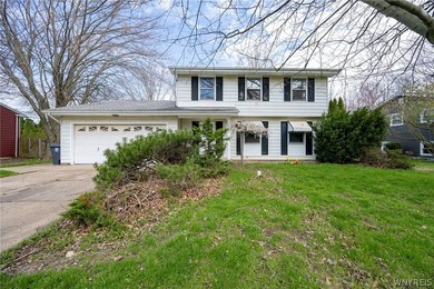 Beach Home For Sale in Youngstown, New York