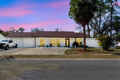 Beach Home For Sale in Tampa, Florida