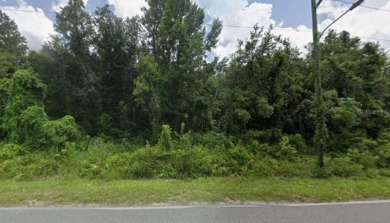 Beach Lot For Sale in New Port Richey, Florida