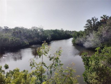 Beach Lot For Sale in Crystal River, Florida