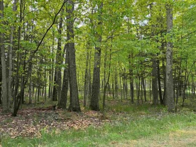 Beach Lot For Sale in Harbor Springs, Michigan