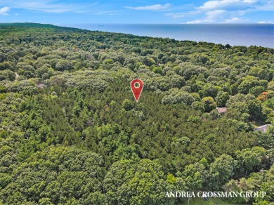 Beautifully wooded 10 acre parcel just off N Lakeshore Drive - Beach Acreage for sale in Holland, Michigan on Beachhouse.com