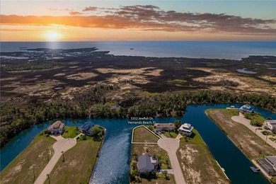 Beach Lot For Sale in Hernando Beach, Florida