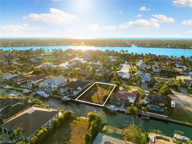 Beach Lot For Sale in Naples, Florida