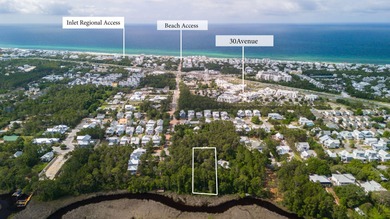 Beach Lot For Sale in Inlet Beach, Florida